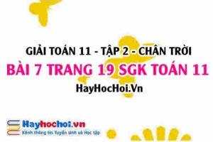 Bài 7 trang 19 Toán 11 tập 2 Chân trời sáng tạo